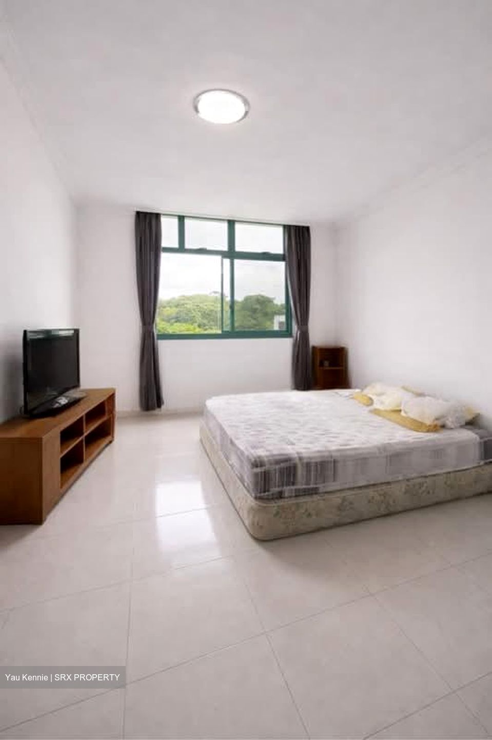 Blk 478 Segar Gardens (Bukit Panjang), HDB Executive #531934701